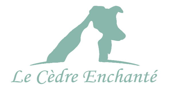 Elevage du cèdre Enchanté